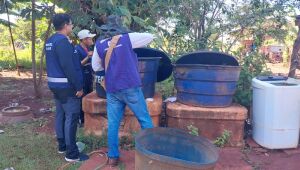 Boletim atualizado mostra avanço da Chikungunya