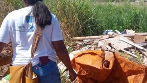 Boletim reforça necessidade de ação imediata contra Aedes