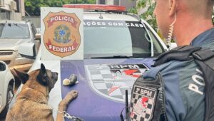 Mullher é flagrada por cão da PM com haxixe