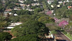 Município é certificado um dos mais arborizados do Brasil