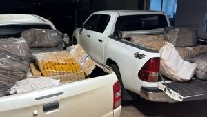 PF apreende 1 ton de maconha em casa abandonada