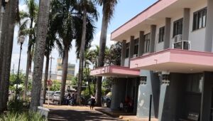 Nove óbitos e mais de 7.000 casos de Chikungunya