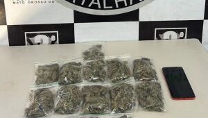 PM apreende maconha e prende distribuidor