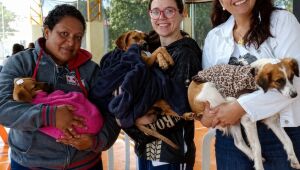 Associação de proteção animal recebe reconhecimento