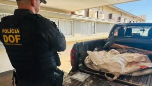 Ladrão que furtou caminhonete no jogo morre na fuga