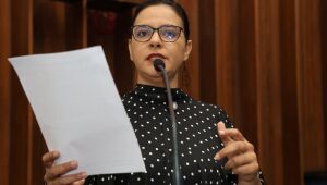 Gleice alerta para "projeto contra professores" no Estado