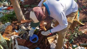 Agentes de endemias vistoriam mais 1.349 imóveis e identificam 6 focos de Chikungunya