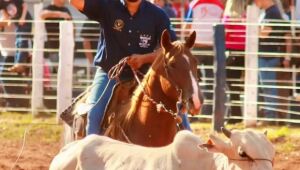 Festa do Laço Comprido abre feira agropecuária 