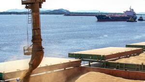MS tem superávit de 2,72 bilhões em exportações
