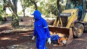 Chikungunya recua nas aladeias, mas ainda preocupa