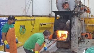 Incineração de produtos apreendidos preserva Saúde Pública