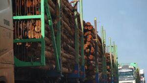 Crescer e distribuir, na rota do desenvolvimento 