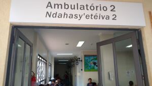 Epidemia de Chikungunya desacelera em Dourados