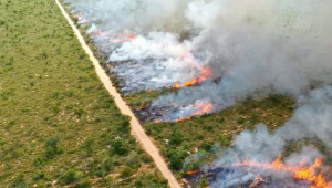 Estado se antecipa aos riscos de incêndios florestais