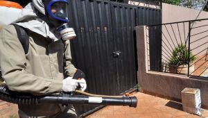 Casos de Chikungunya despencam em Dourados