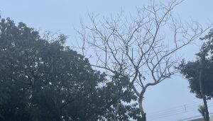 Temperaturas baixas no final de semana