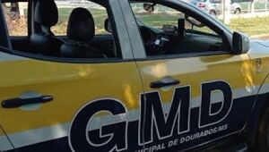 Guarda Municipal impede furto de bens públicos 