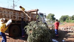 Prefeitura intensifica remoção de lixões na periferia