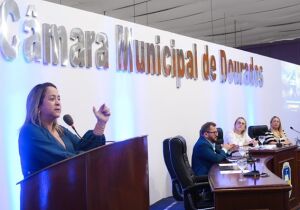 Deputada é homenageada por atuação política