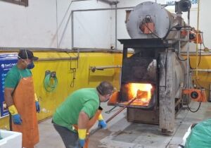Incineração de produtos apreendidos preserva Saúde Pública