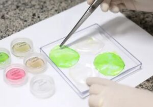Embrapa começa a produzir carne em laboratório