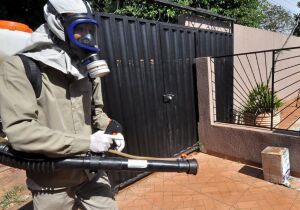 Casos de Chikungunya despencam em Dourados