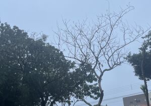 Temperaturas baixas no final de semana