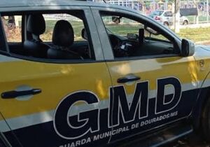 Guarda Municipal impede furto de bens públicos 