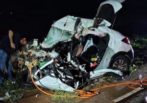 Animal na pista provoca acidente com duas mortes