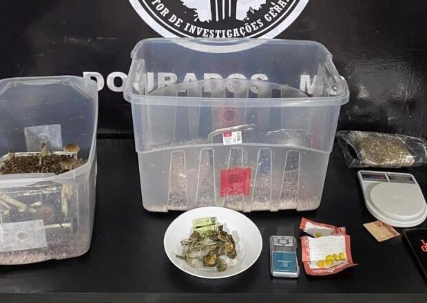 Polícia Civil prende traficante que comercializava drogas pelo Instagram