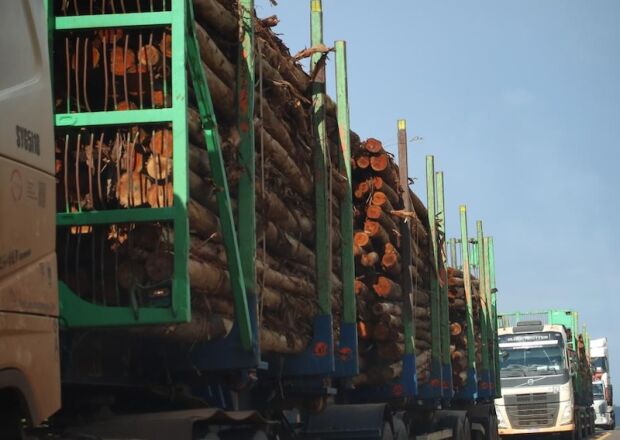 Crescer e distribuir, na rota do desenvolvimento 