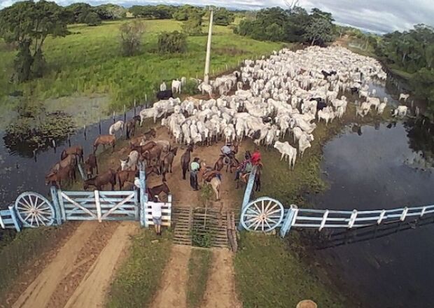 União Europeia veta importação da carne brasileira 