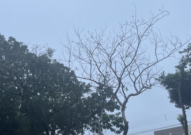 Calor intenso e ar seco para fim de semana