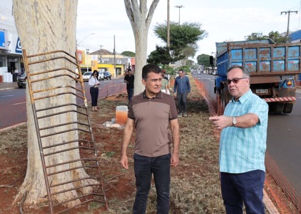 Canteiros centrais começam a ser revitalizados