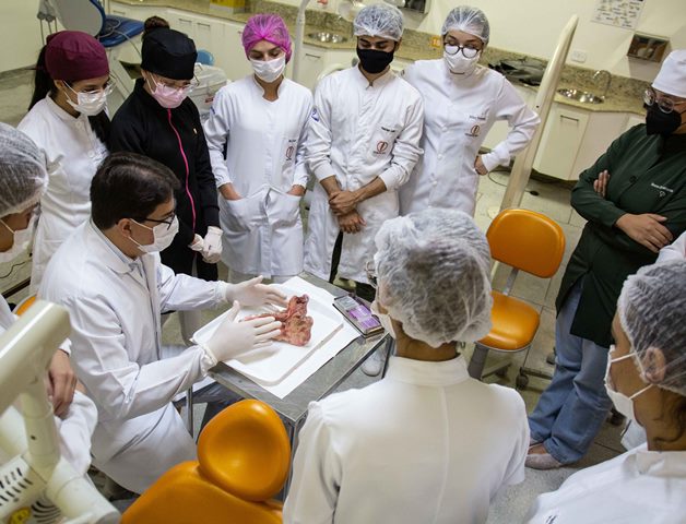 Acadêmicos desenvolvem técnicas avanças com experiência da mandíbula animal