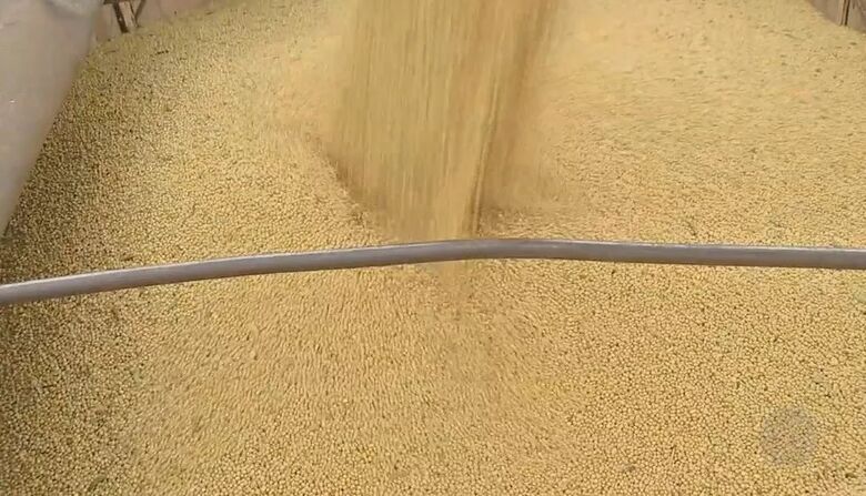 Soja colhida em Mato Grosso do Sul na safra 2021/2022