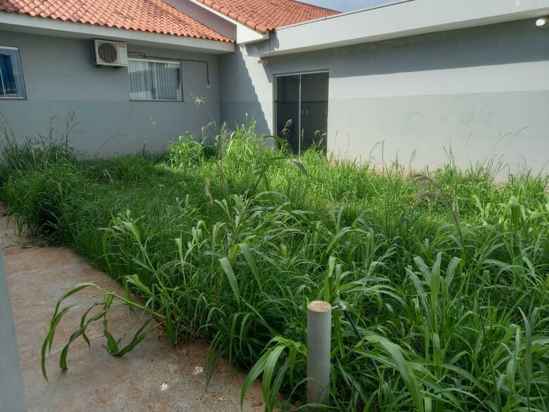 Mato toma conta do quintal da PAI e põe em risco a vida das crianças