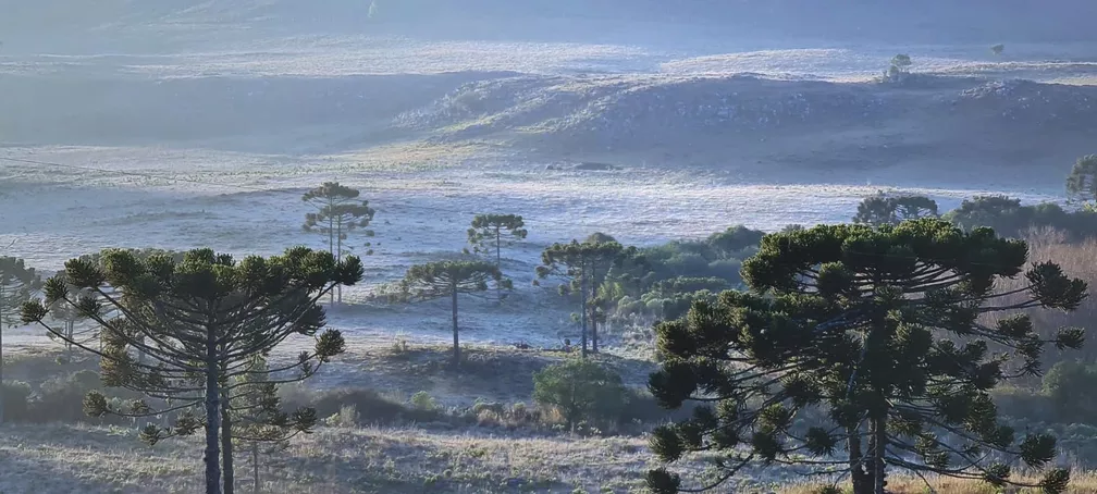 Amanhecer no Vale dos Caminhos da Neve em São Joaquim (SC), em foto de 2021.