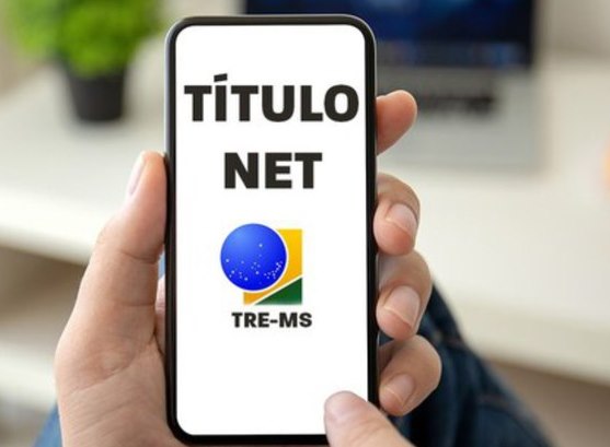 Eleitor que não quer perder o direito de votar pode se socorrer do serviço