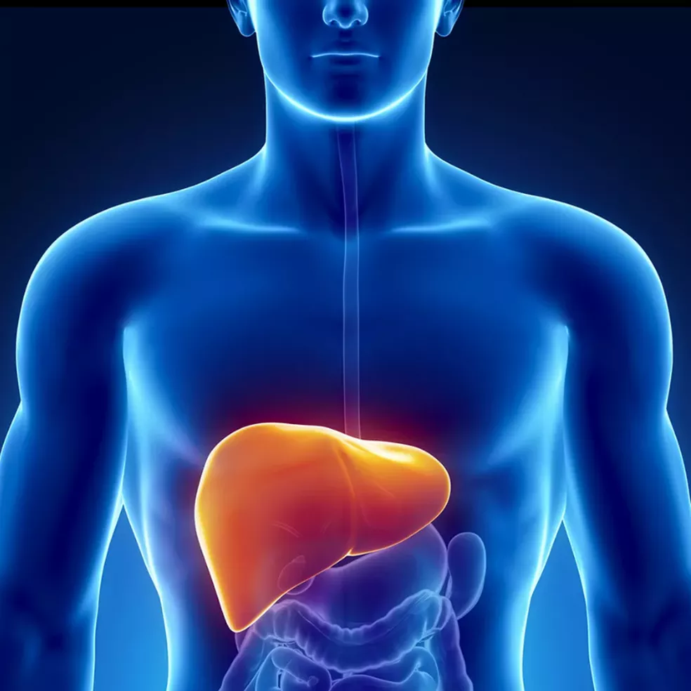 Hepatite é uma doença que afeta o funcionamento do fígado