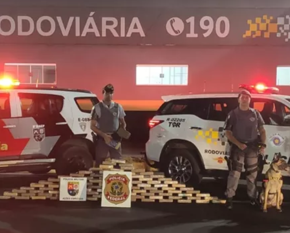 Policiais paulistas contabilizam cocaína apreendida em ônibus