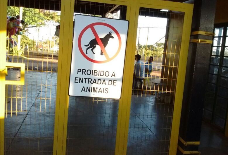 Entrada de animais agora é permitida em parques