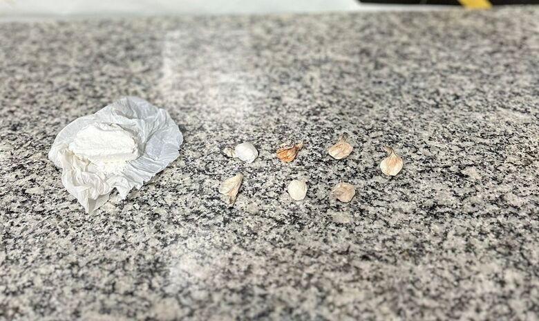 Foram encontradas seis porções de cocaína e outras 20 gramas