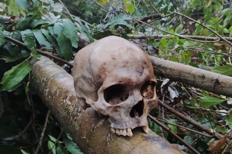 Crânio encontrado perto da rodovia por funcionários da Energisa