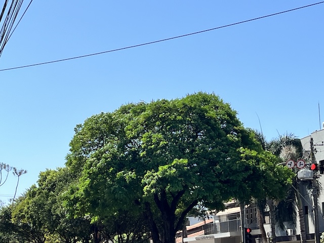 Céu azul indica temperatura estável no fim de semana