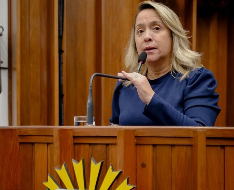 Lia Nogueira recebe demandas de empresariado douradense