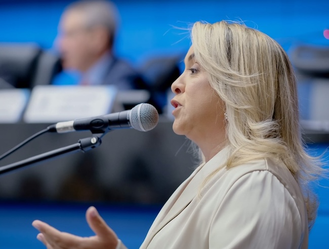 Deputada Lia Nogueira expõe necessidades de entregadores