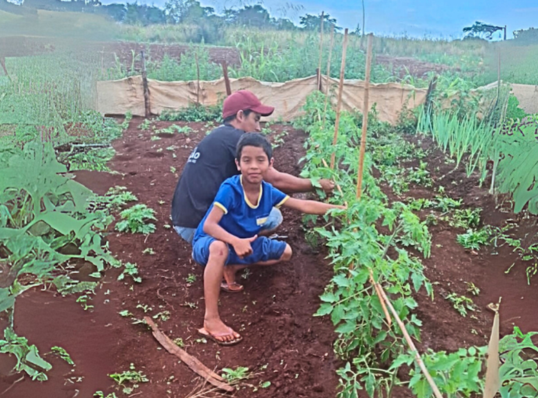 Famílias são envolvidas em plantio de alimentos