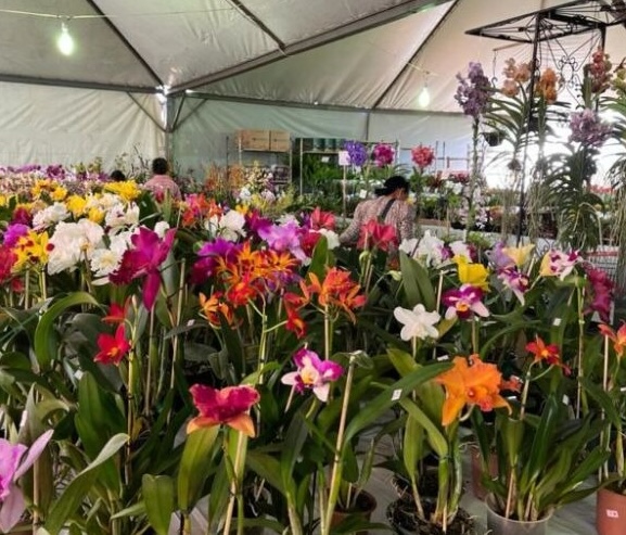 Expoflor agora passa a se chamar Feira de Flores na praça