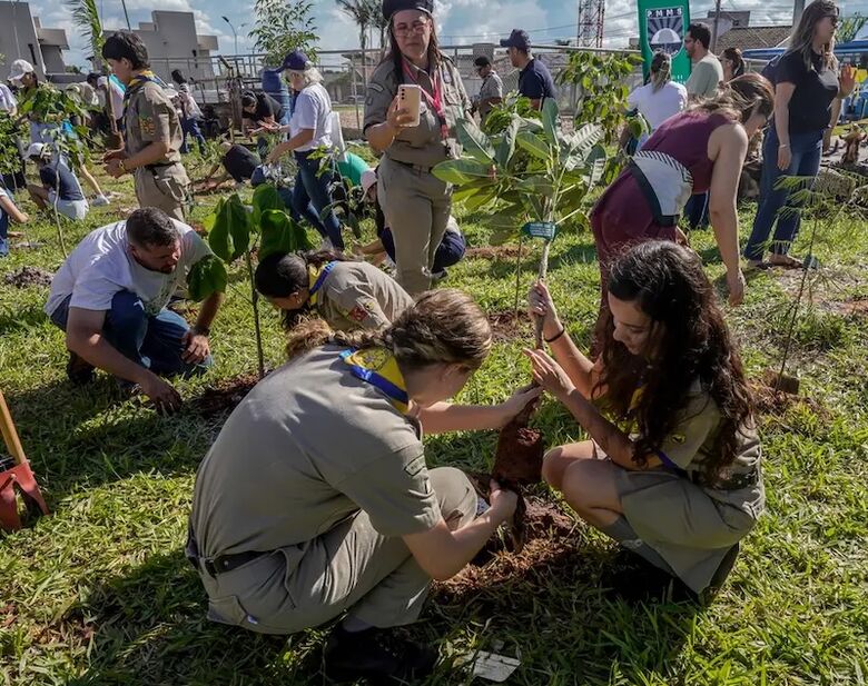 Criação de Bosque encerra a COP15 no Brasil